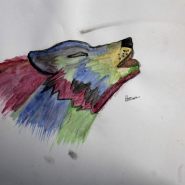 IMG_0164