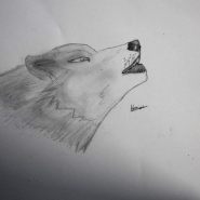 IMG_0165