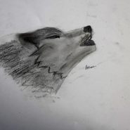 IMG_0166