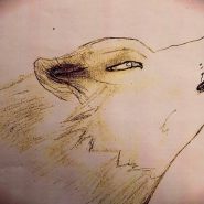 IMG_0167