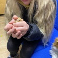 Therapy Chicks Tweet 2