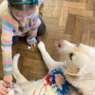 Therapy Dog Photo 9